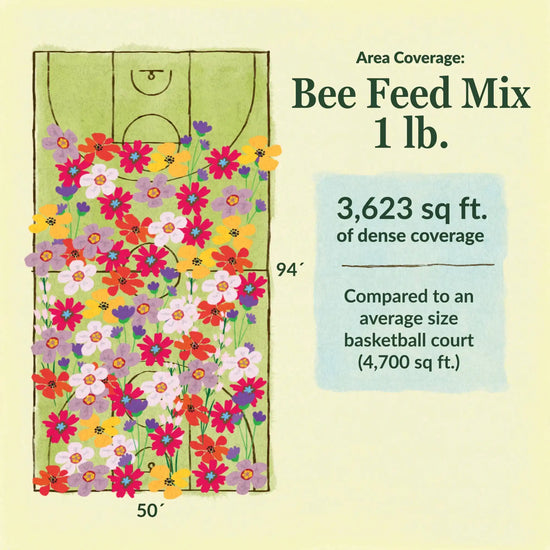 Bee feed flower mix area coverage for 1lb seed mix 3623 sq ft of dense coverage compared to an average size basketball court (4700 sq ft)