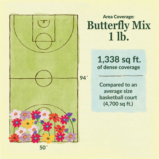 Butterfly flower mix area coverage for 1lb seed mix 1338 sq ft of dense coverage compared to an average size basketball court (4700 sq ft)