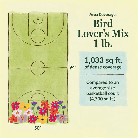 Bird lover's flower mix area coverage for 1lb seed mix. 1033 sq ft of dense coverage compared to an average size basketball court (4700 sq ft)