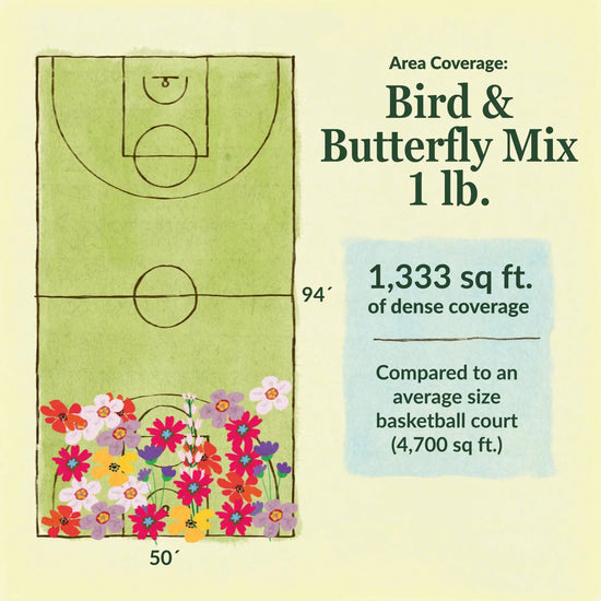 Bird & butterfly flower mix area coverage for 1lb seed mix. 1333 sq ft of dense coverage compared to an average size basketball court (4700 sq ft)
