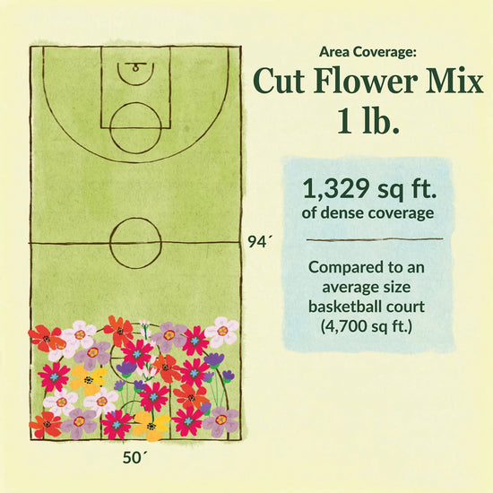 Cut flower mix area coverage for 1lb seed mix. 1329 sq ft of dense coverage compared to an average size basketball court (4700 sq ft)