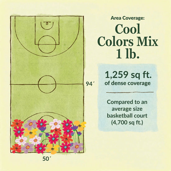 Cool colors flower mix area coverage for 1lb seed mix. 1259 sq ft of dense coverage compared to an average size basketball court (4700 sq ft)
