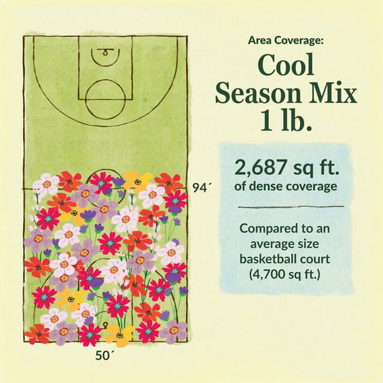 Cool season flower mix area coverage for 1lb seed mix. 2687 sq ft of dense coverage compared to an average size basketball court (4700 sq ft)