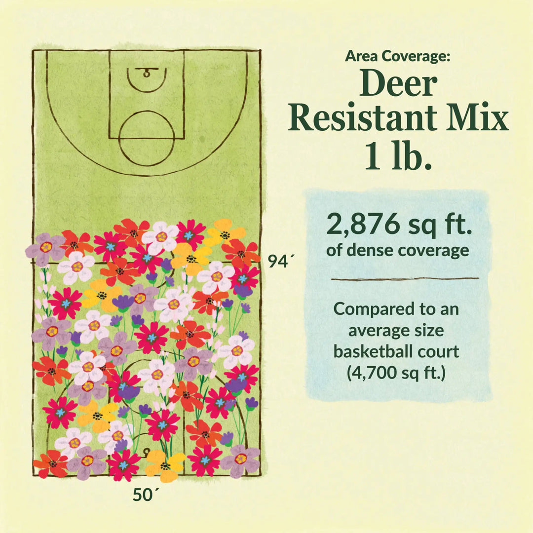 Deer Resistant flower mix area coverage for 1lb seed mix 2876 sq ft of dense coverage compared to an average size basketball court (4700 sq ft)