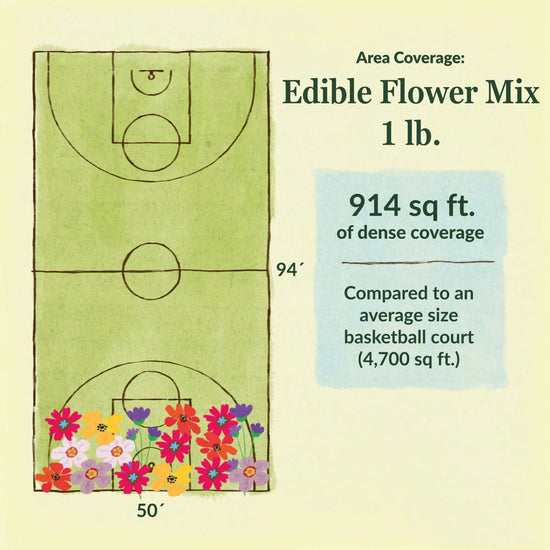 Edible flower mix area coverage for 1lb seed mix 914 sq ft of dense coverage compared to an average size basketball court (4700 sq ft)