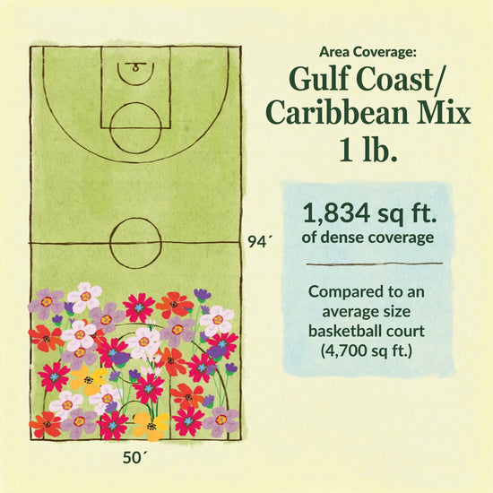 Gulf coast/ Caribbean flower mix area coverage for 1lb seed mix. 1834 sq ft of dense coverage compared to an average size basketball court (4700 sq ft)