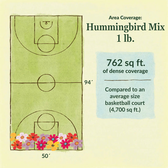 Hummingbird flower mix area coverage for 1lb seed mix 762 sq ft of dense coverage compared to an average size basketball court (4700 sq ft)