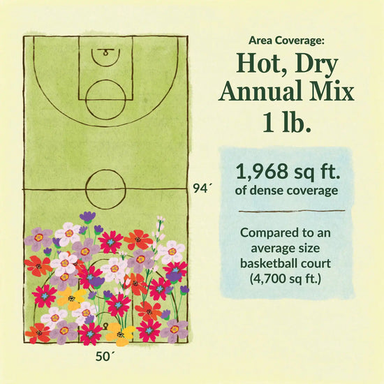 Hot Dry annual flower mix area coverage for 1lb seed mix. 1968 sq ft of dense coverage compared to an average size basketball court (4700 sq ft)