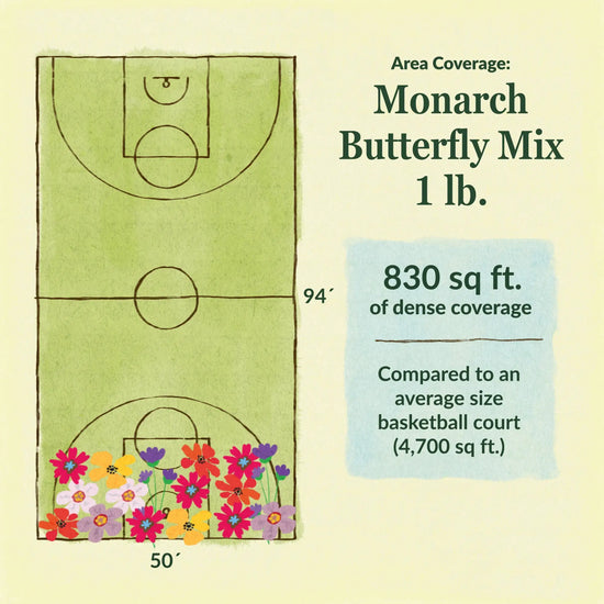 Monarch butterfly flower mix area coverage for 1lb seed mix 830 sq ft of dense coverage compared to an average size basketball court (4700 sq ft)