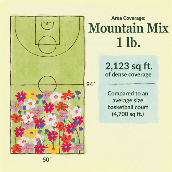 Mountain flower mix area coverage for 1lb seed mix. 2123 sq ft of dense coverage compared to an average size basketball court (4700 sq ft)