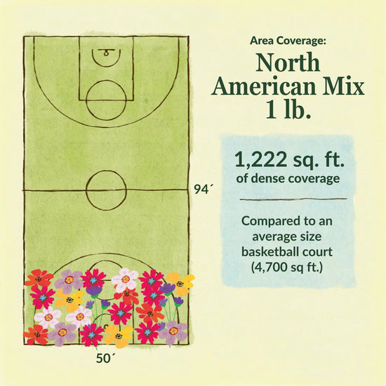 North American flower mix area coverage for 1lb seed mix. 1222 sq ft of dense coverage compared to an average size basketball court (4700 sq ft)