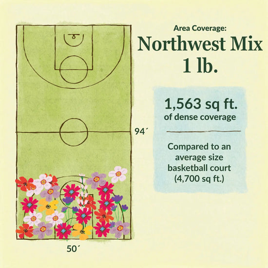 Northwest flower mix area coverage for 1lb seed mix. 1563 sq ft of dense coverage compared to an average size basketball court (4700 sq ft)