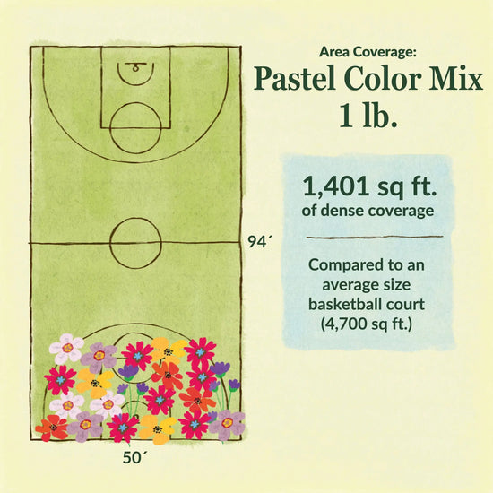 Pastel flower mix area coverage for 1lb seed mix. 1401 sq ft of dense coverage compared to an average size basketball court (4700 sq ft)