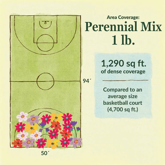 Perennial flower mix area coverage for 1lb seed mix 1290 sq ft of dense coverage compared to an average size basketball court (4700 sq ft)