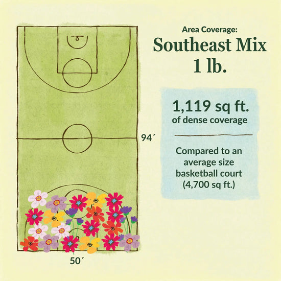 Southeast flower mix area coverage for 1lb seed mix. 1119 sq ft of dense coverage compared to an average size basketball court (4700 sq ft)