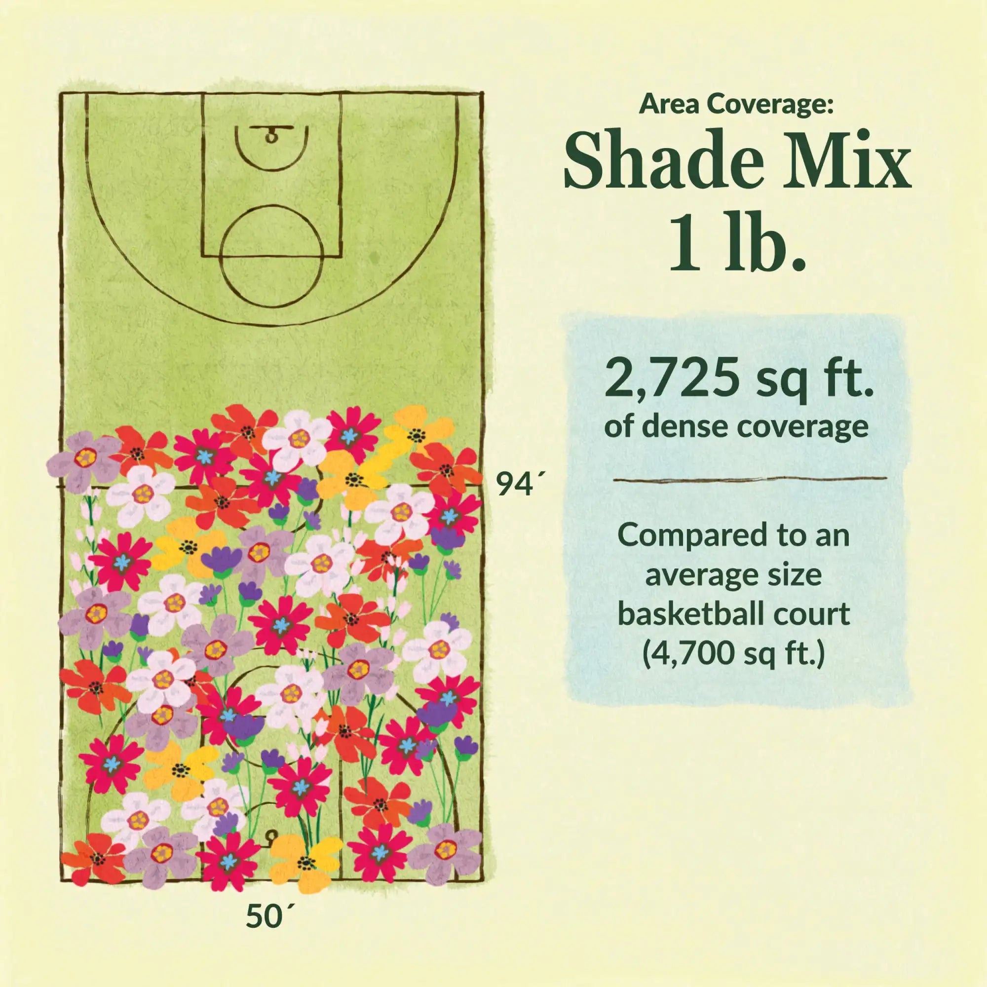 Shade flower mix area coverage for 1lb seed mix. 2725 sq ft of dense coverage compared to an average size basketball court (4700 sq ft)