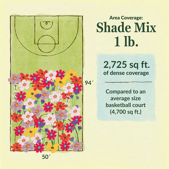 Shade flower mix area coverage for 1lb seed mix. 2725 sq ft of dense coverage compared to an average size basketball court (4700 sq ft)