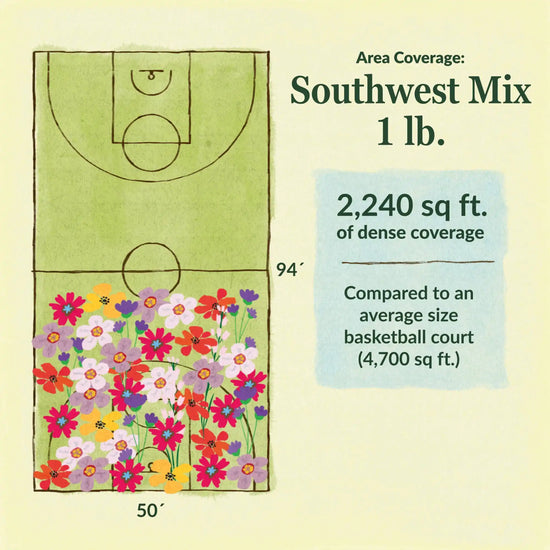 Southwest flower mix area coverage for 1lb seed mix. 2240 sq ft of dense coverage compared to an average size basketball court (4700 sq ft)