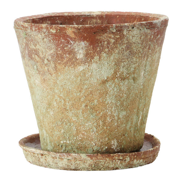 Large Round Terracotta Cement Planter with Saucer