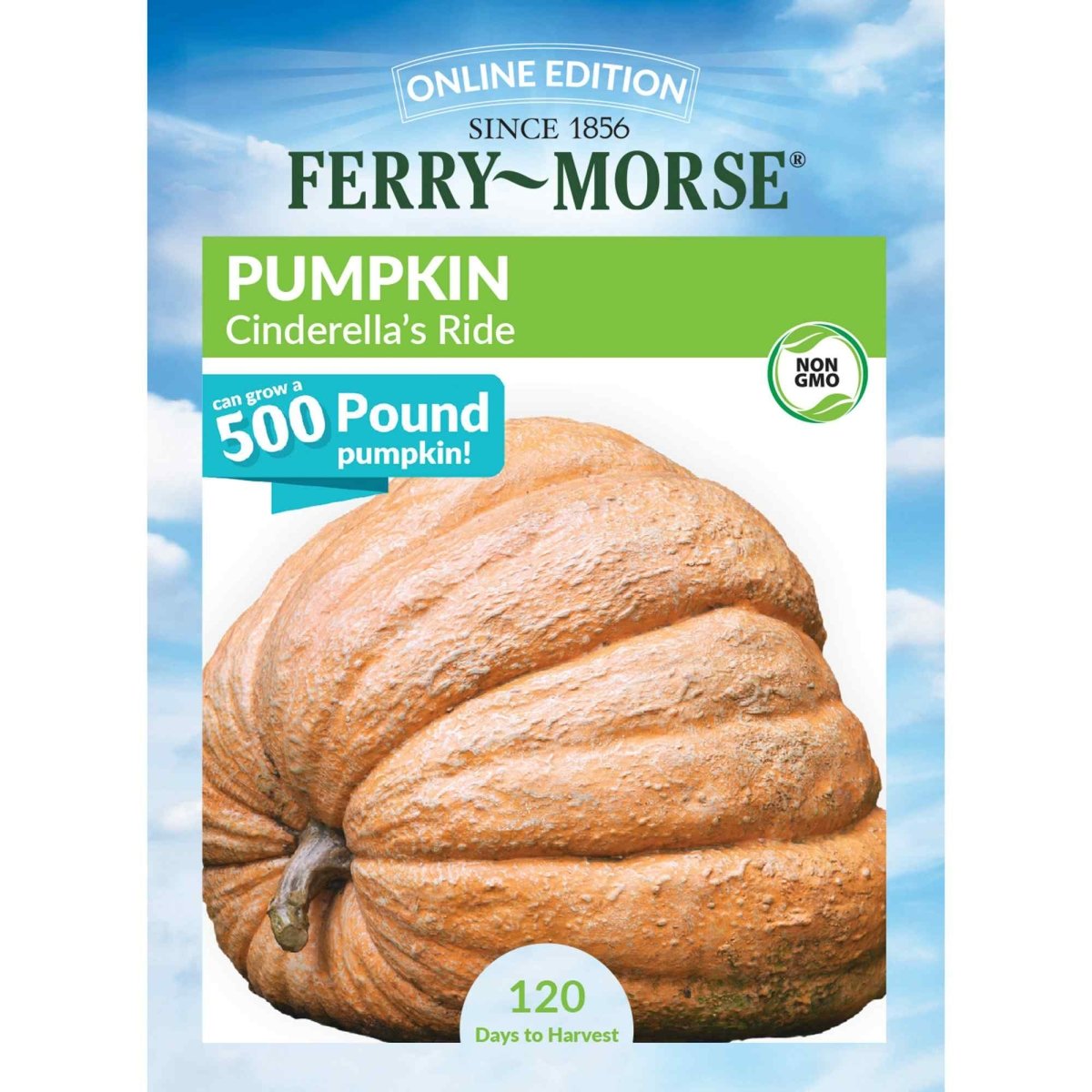 Pumpkin, Cinderella's Ride Seeds, 3g - Ferry - Morse