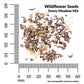 Wildflower Meadow Mix Economy Seeds