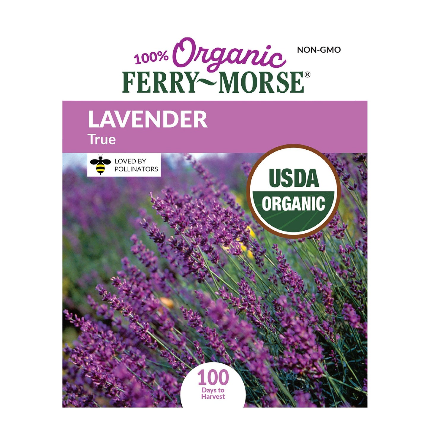 Lavender, True Organic Seeds