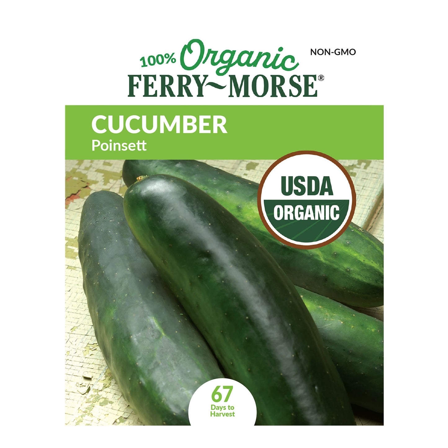 Cucumber, Poinsett Organic Seeds