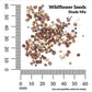 Wildflower Shade Mix  Economy Seeds