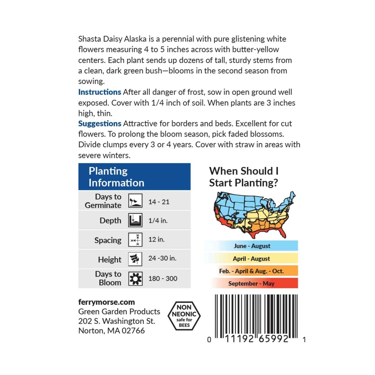 Shasta Daisy, Alaska Seeds, 300mg - Ferry - Morse