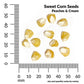 Sweet Corn, Peaches & Cream Hybrid Seeds, 14.9g - Ferry - Morse
