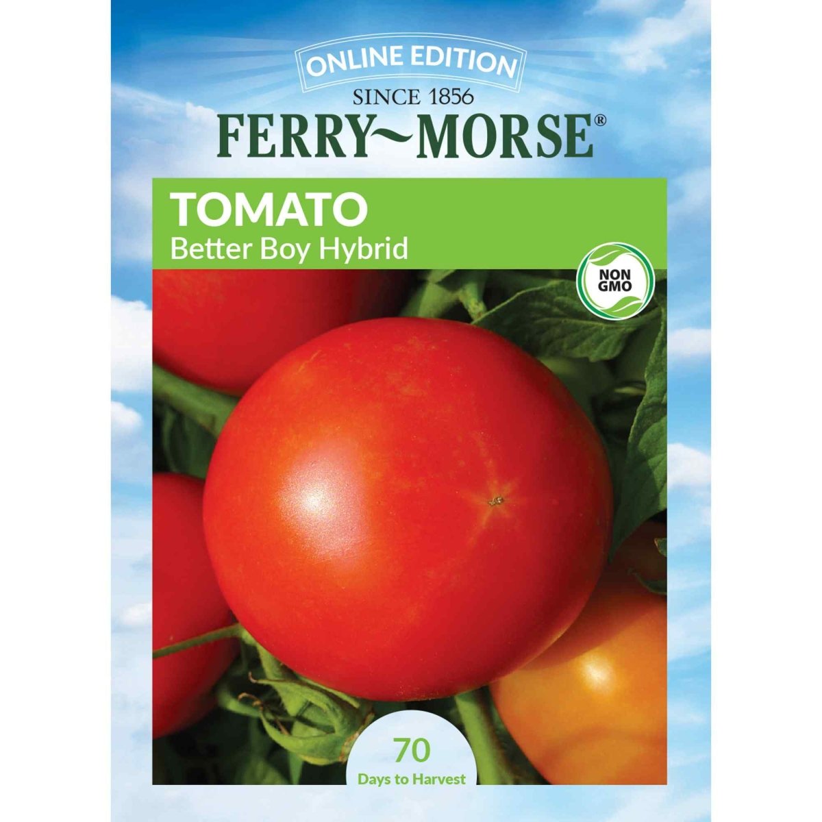 Tomato, Better Boy Hybrid 25 Pelleted Seeds - Ferry - Morse