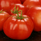 Tomato big boys on table
