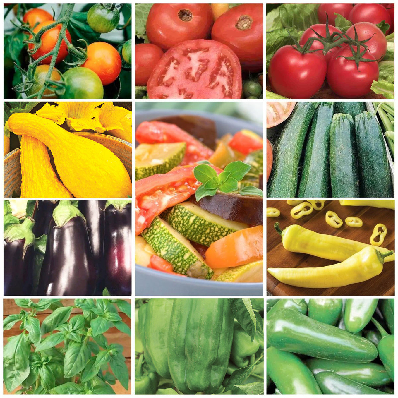 fruit and vegetable garden seeds Your Complete Indoor Growing Seed Starting Kit with Vegetable Seeds from Ferry-Morse Seeds