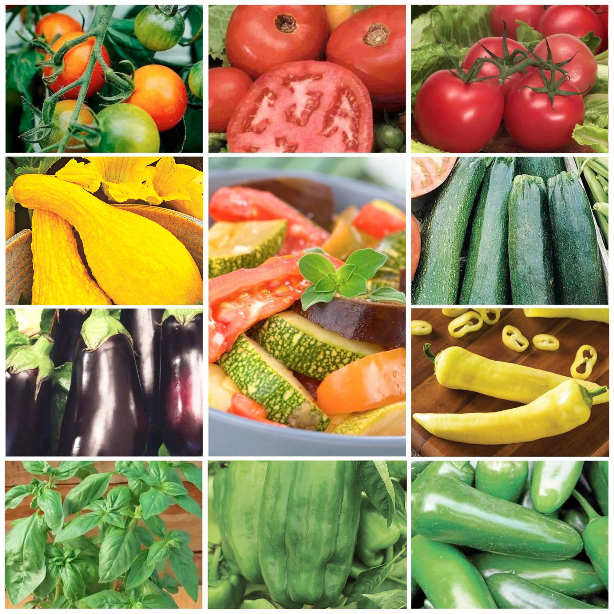 Complete Indoor Growing Seed Starting Kit, Vegetable Seeds - Ferry - Morse
