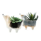 Decorative Dolomite Dog Shaped Planter, Multicolor, Set of 4
