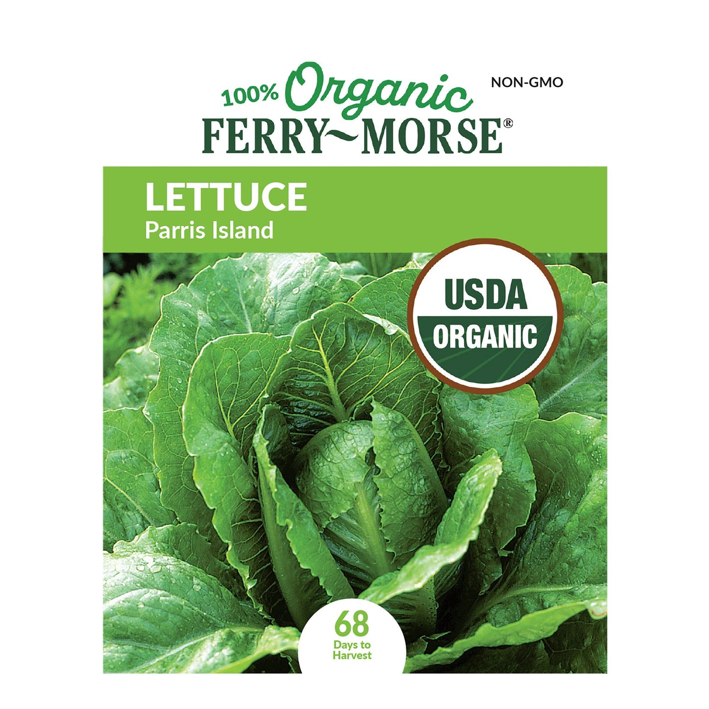 Lettuce, Parris Island Organic Seeds