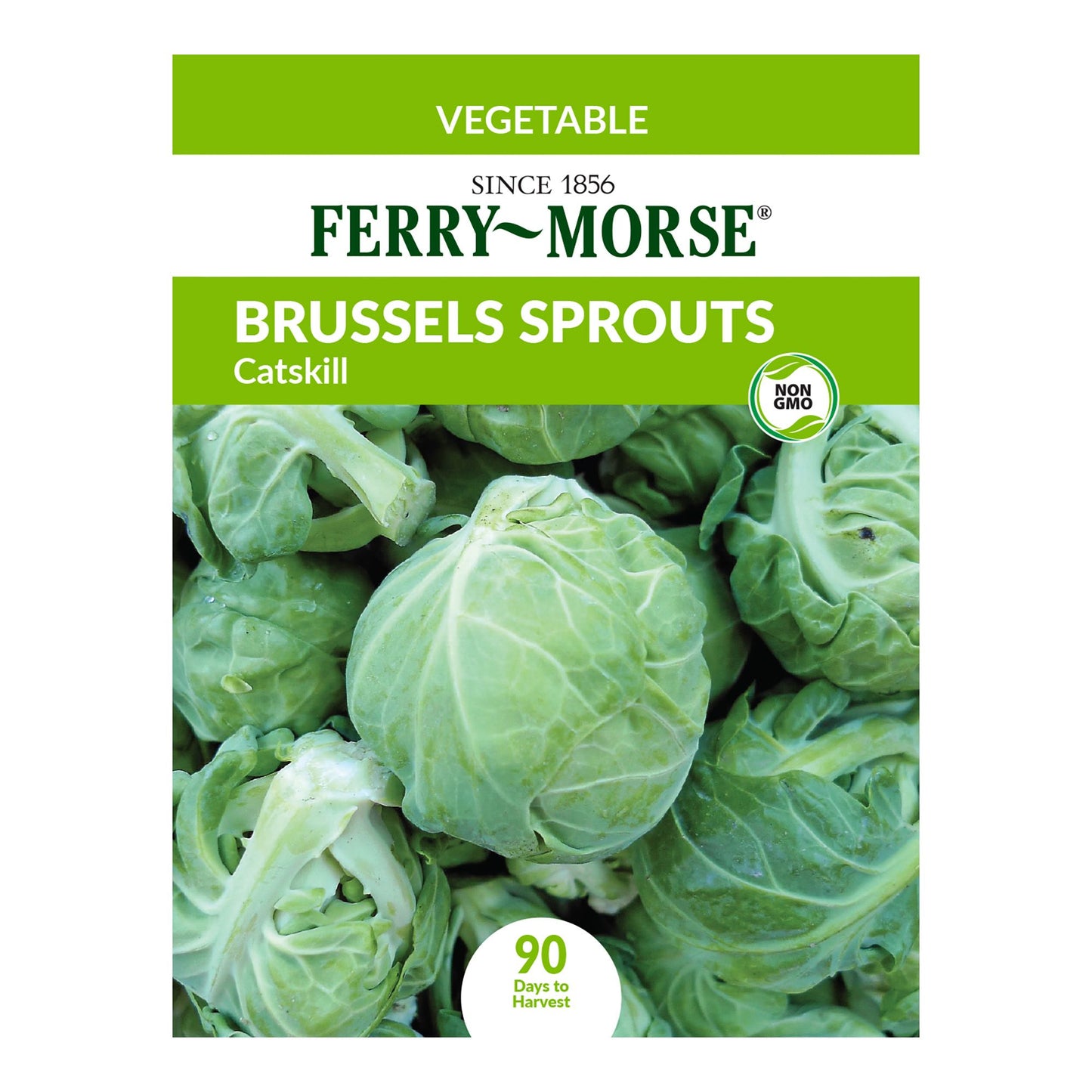 Brussels Sprouts, Catskill Seeds