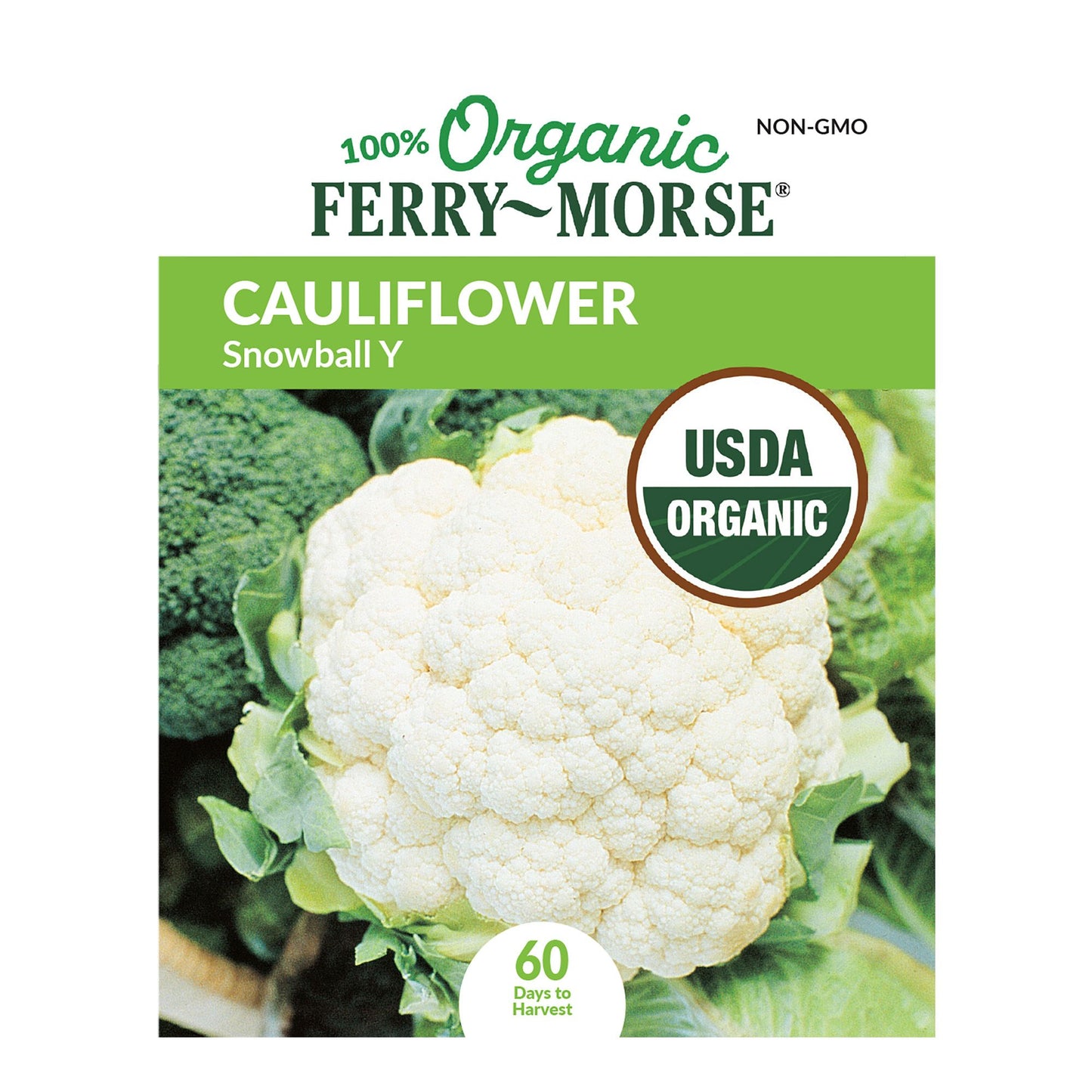 Cauliflower, Snowball Y Organic Seeds