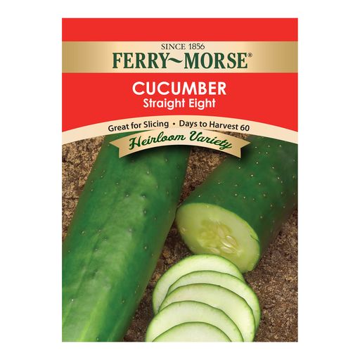 Cucumber Seeds, Heirloom Straight Eight