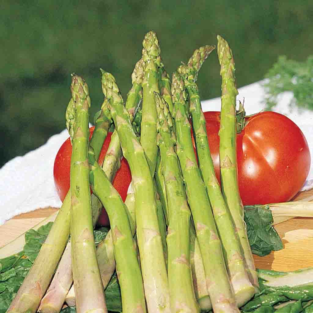 Mary Washington (Sow Easy) Asparagus Seeds from Ferry Morse