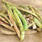 Pinto Beans seeds fully matured and harvested, ready for cooking!