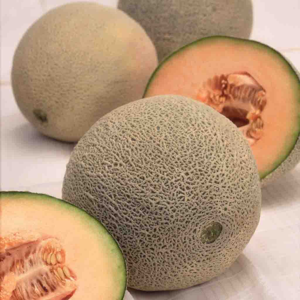 Hale's Best Jumbo Cantaloupe seeds, fully matured and recently harvested. Close-up photo shows three in-tact cantaloupes and one halved cantaloupe for reference to its insides. 