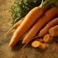 Heirloom Scarlet Nantes Carrot Seeds from Ferry Morse Home Gardening