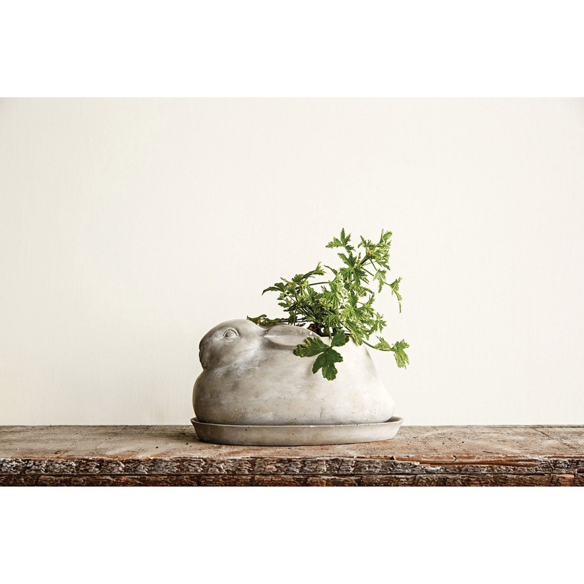 cement rabbit planter with saucer Cement Rabbit Planter with Saucer