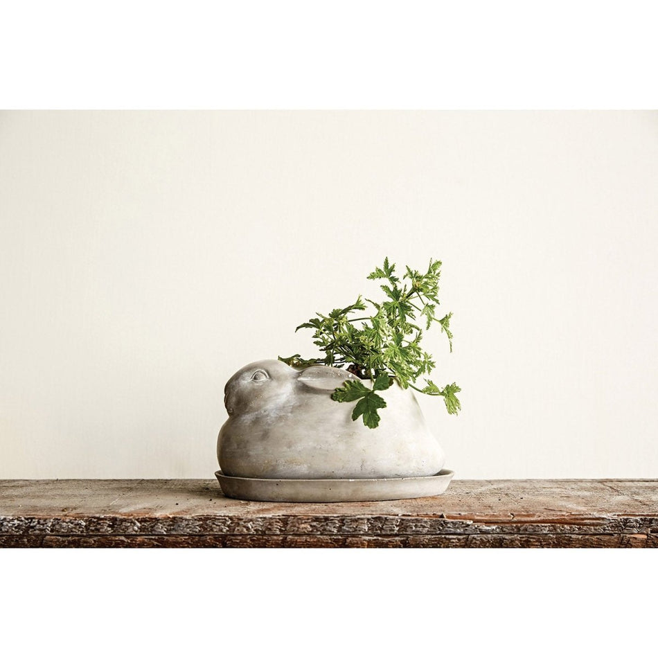 Cement Rabbit Planter with Saucer (Set of 2 Pieces) | Ferry-Morse