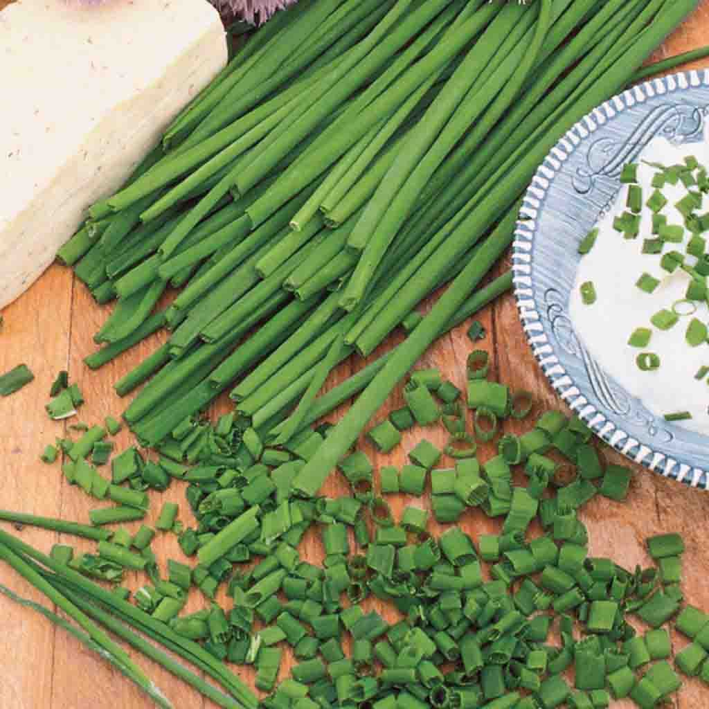 Chives Common Herb Seeds from Ferry Morse_Picture depicts chopped matured common chives herb plant next to a white sauce in a dish.