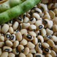 California Blackeye Cowpea seeds freshly harvested and ready to be cooked up for your enjoying pleasure!