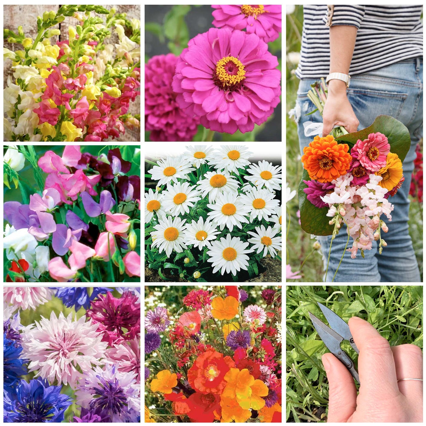 Grow-Your-Own Bouquet Cut Flower Garden Kit