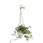 Medium White Stoneware Hanging Planter 6.25" with Jute Rope