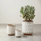 Grey & White Stoneware Pots (Set of 3 Sizes)